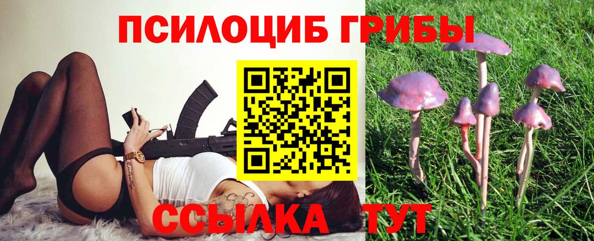 Псилоцибиновые грибы мицелий Пятигорск